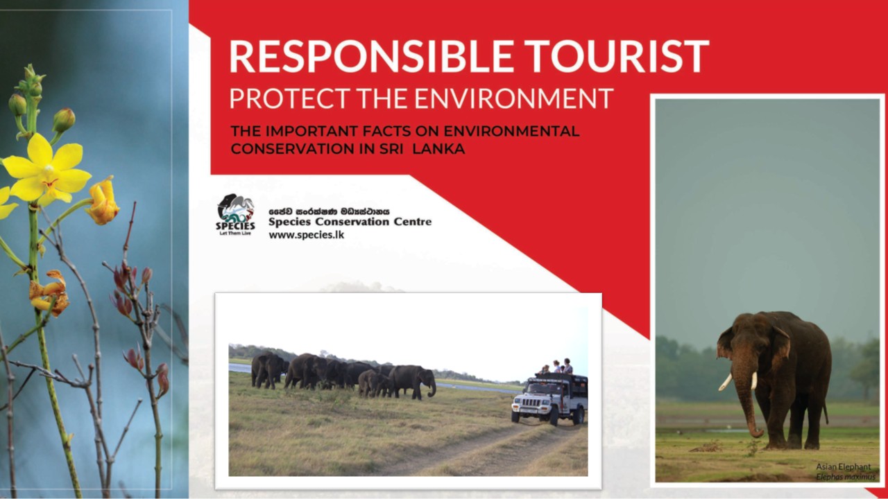 Responsible tourism in Sri Lanka