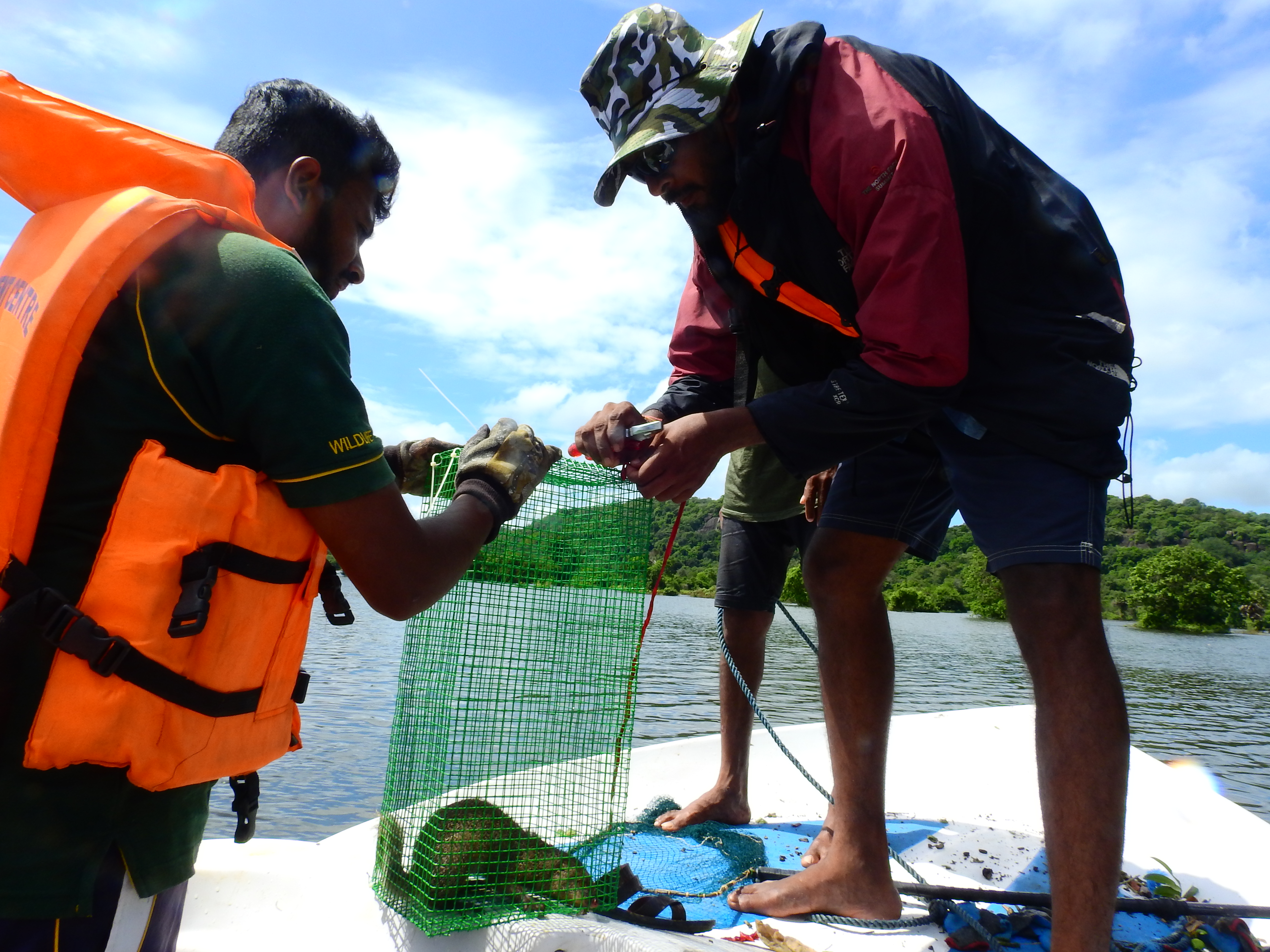 Yan Oya Animal Rescue