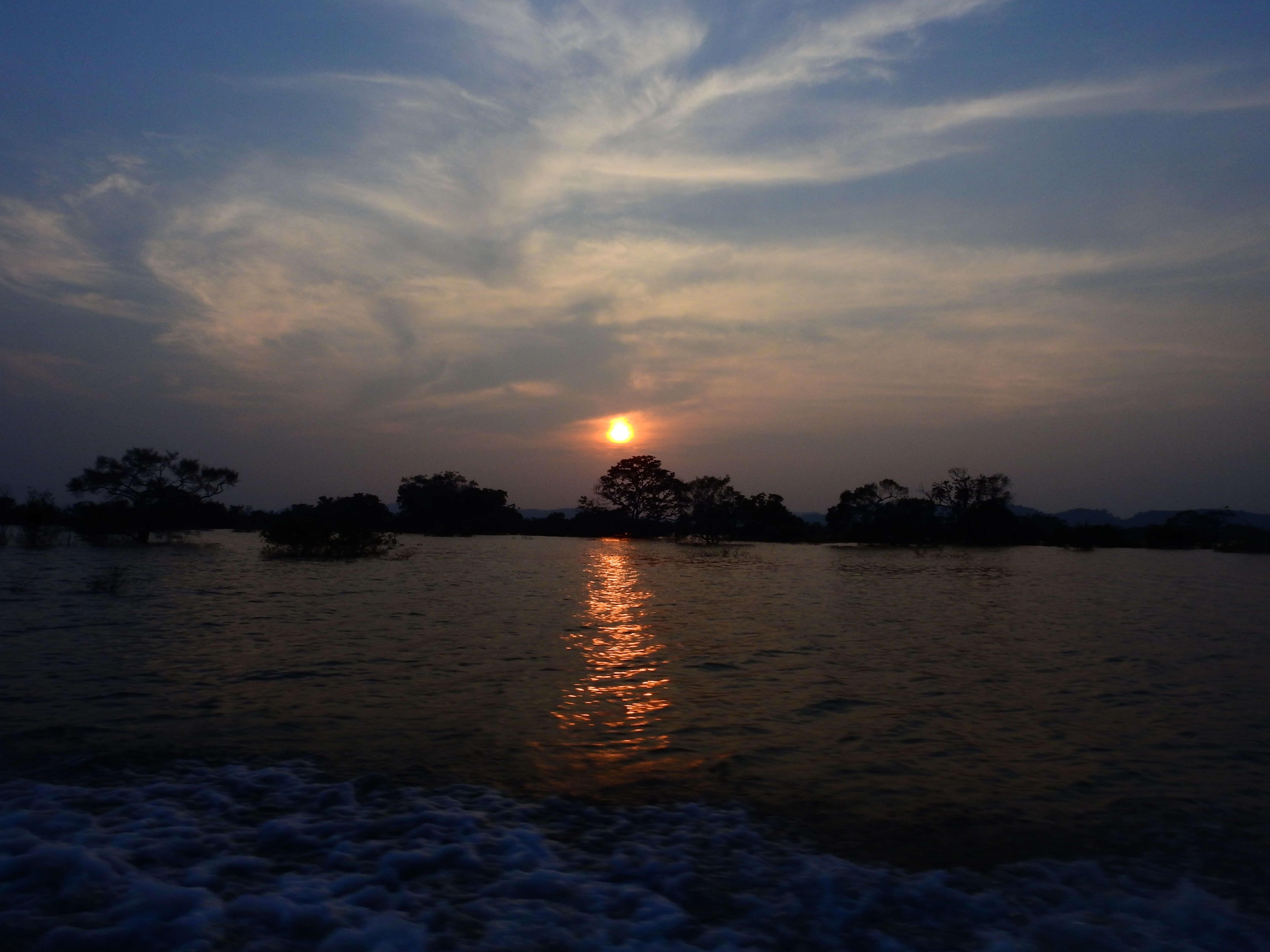 Yan Oya Animal Rescue