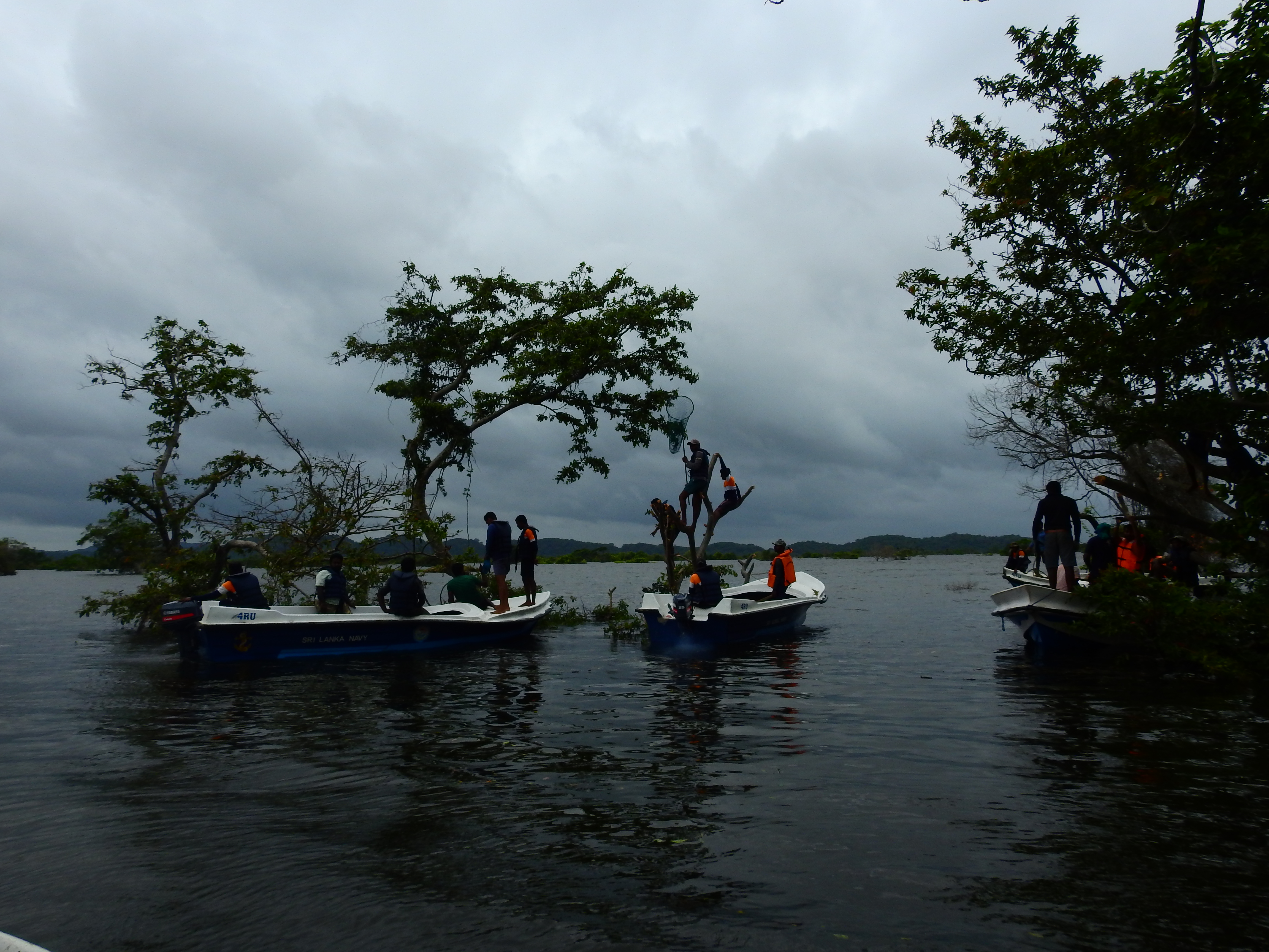 Yan Oya Animal Rescue