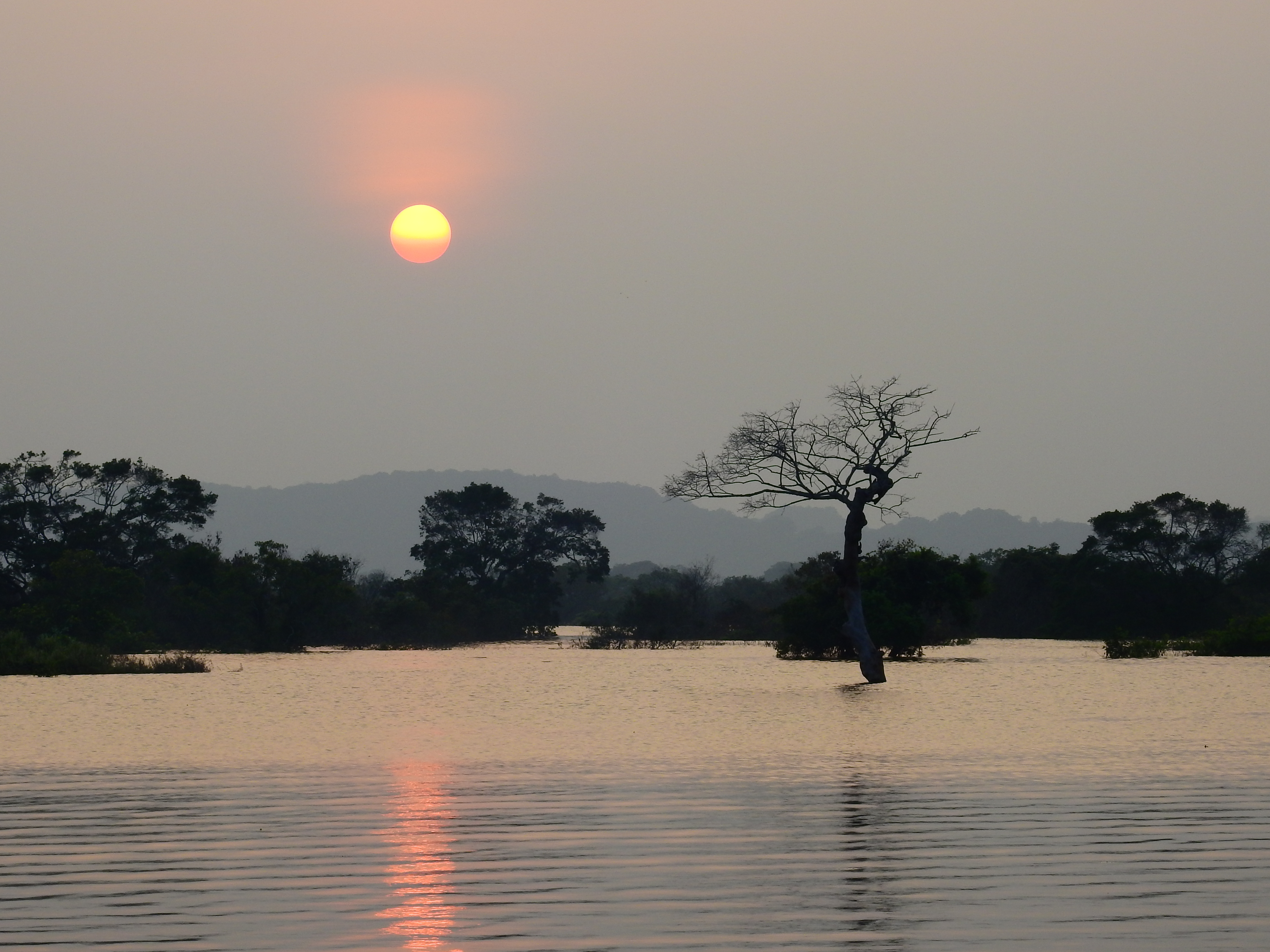 Yan Oya Animal Rescue